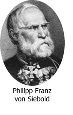 Philipp Franz von Siebold